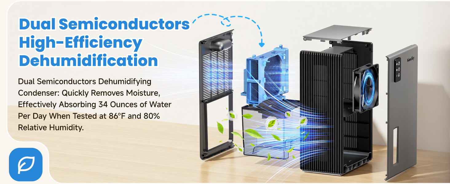dehumidifiers for home
