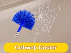 cobweb duster