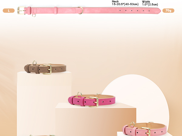 soft padded leather dog collar for large dogs