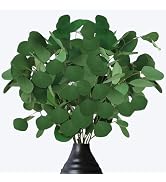 Preserved Dried Eucalyptus Stems, 15-20Pcs Pure Natural Real Silver Dollar Leaves for Vase Filler...