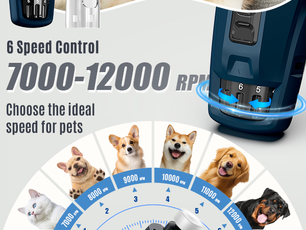 6 speed control