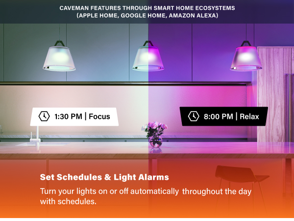 Schedules & Light Alarms