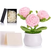 ZHIYUXI Pink Eternal Rose Crochet Preserved Roses Forever Flower Decor for Teacher's Day, Birthda...