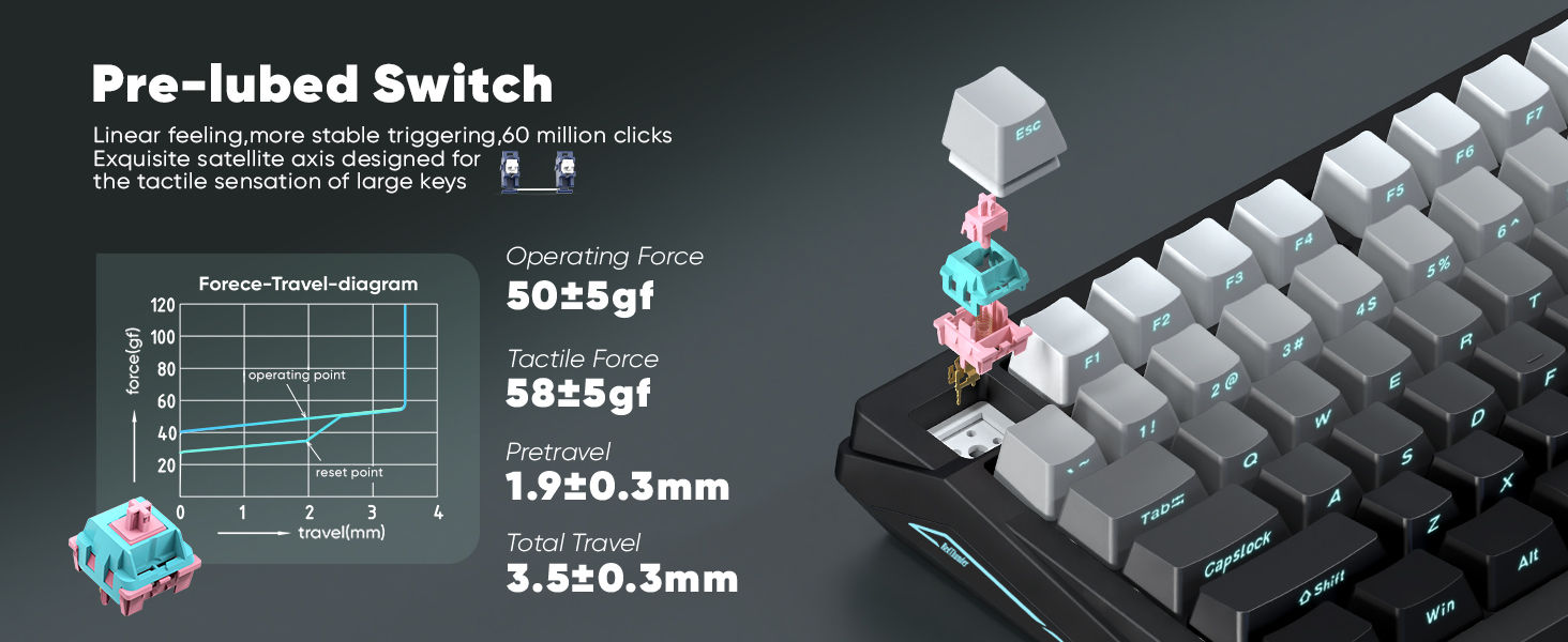 Pre-lubed switch