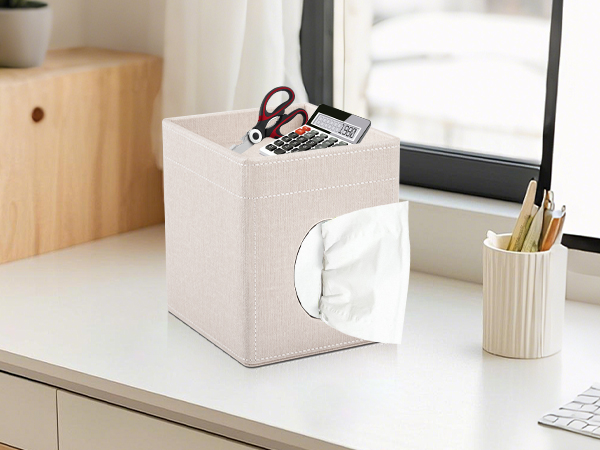 Tissue Box Holder with Tray