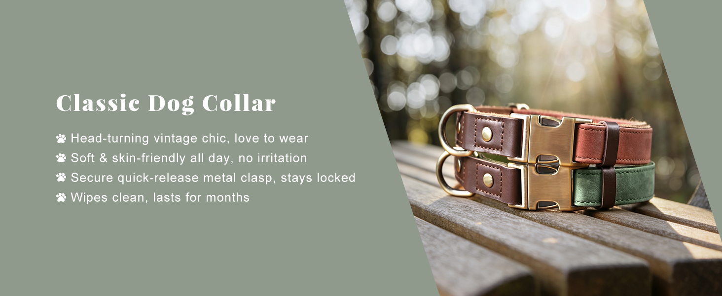 classic dog collar