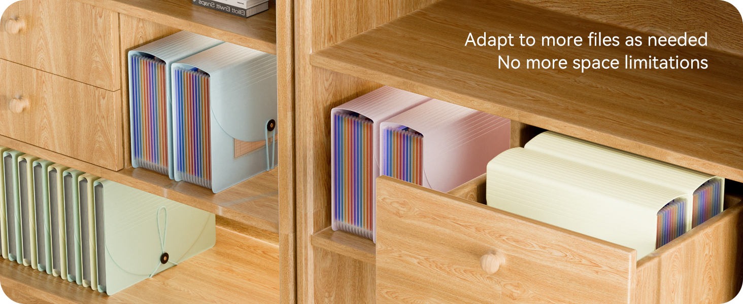 Text reads 'Adapt to more files as needed. No more space limitations.' Storage solution showing adjustable dividers in wooden shelving units.