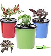 Colorful Hydroponic Planters Kit=48 Growing Sponges + 6 Hydroponic Planters + Scissors, LAWNFUL...