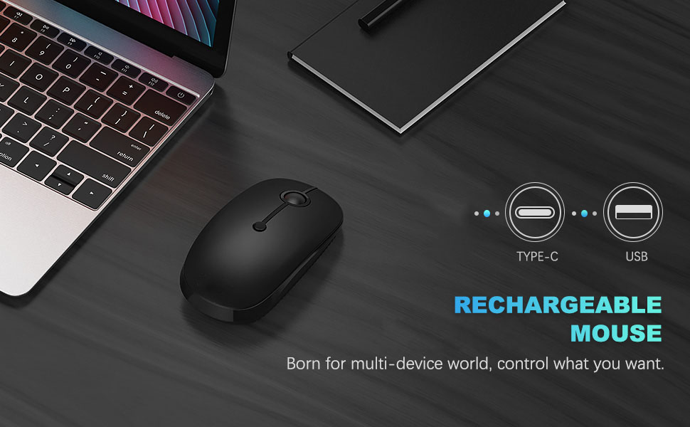 black type C mouse
