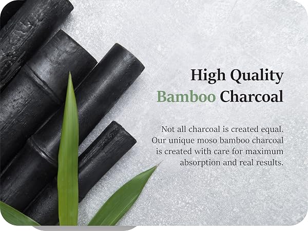 Moso bamboo charcoal vehicle deodorizer fragrance free chemical free pet kid safe road trip