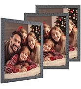 Golden State Art 11x14 Picture Frame Set of 3, 11x14 Photo Frames with HD Plexiglass for Wall Han...