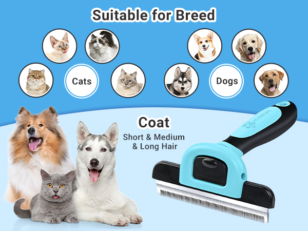 pet brush69