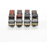 Rollercam 1.0" Cam Buckle Tie Down Straps - Signature Roller Technology - Ideal for Overlanding, ...