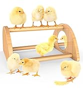 Ensayeer Mini Chick Perch with Mirror, Strong Bamboo Roosting Bar for coop and brooder, Training ...