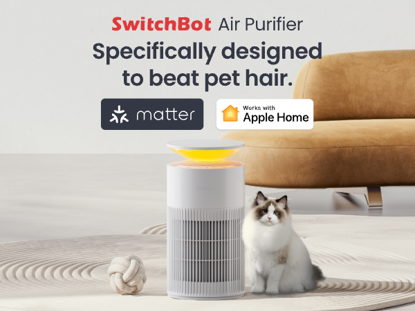 air purifier