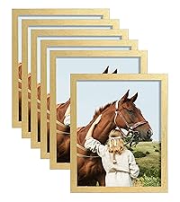 https://m.media-amazon.com/images/S/aplus-media-library-service-media/05bff290-f40b-4753-89f3-8492ad619e10.__CR0,0,1600,1800_PT0_SX200_V1___.jpg