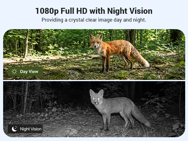 Night Vision