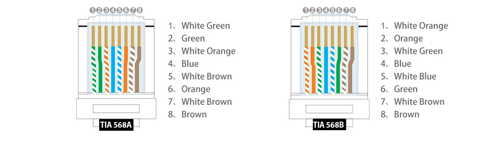 RJ45 Pass through connector