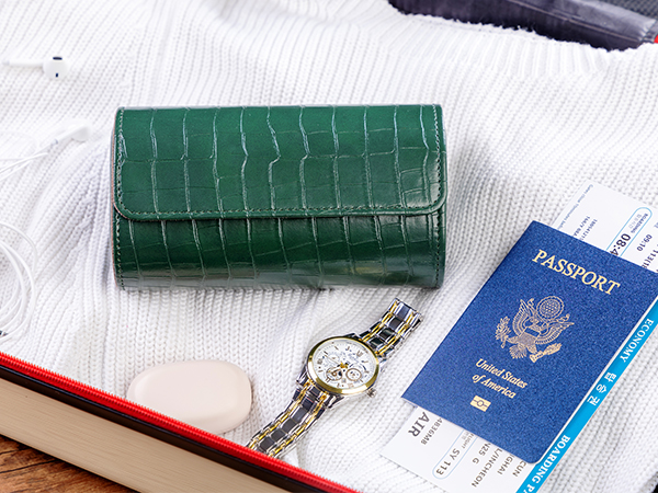 travel 3 watch case