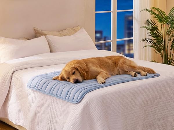 Dog Cooling Mat