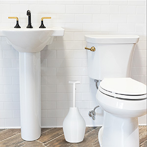beehive max hideaway plunger and holder