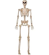 https://m.media-amazon.com/images/S/aplus-media-library-service-media/6a16645c-84ca-4ede-9caf-2acd3d2699ed.__AC_SR200,225___.jpg