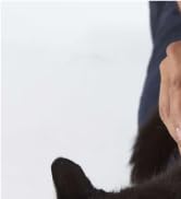 Dog Cats Scratching Brush for Shedding & Horse Grooming Kit Supplies Deshedding Metal Comb All Fur