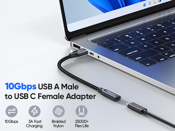 usb c female to usb male adapter