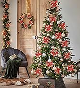 Red Poinsettia