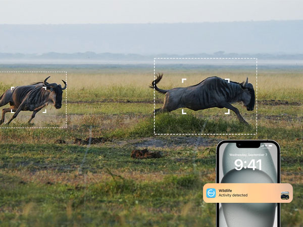 wildlife motion trail cameras 0.2s motion ativated trail camera sends picture to cell phone