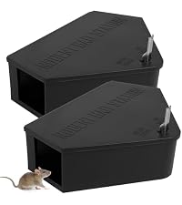 https://m.media-amazon.com/images/I/31%2Brx-mBwoL.__AC_SR200,225___.jpg