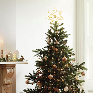 Christmas tree topper star