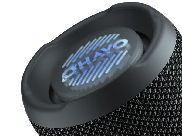 Exceptional Audio Performance