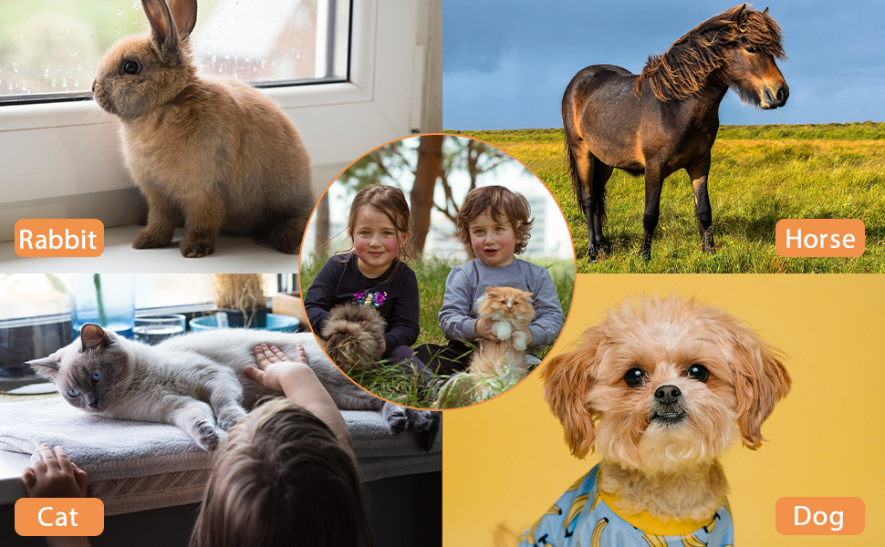 DOG COMB FOR