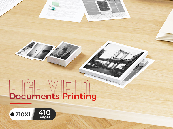 for canon 210xl black ink cartridge