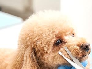 great for dog grooming