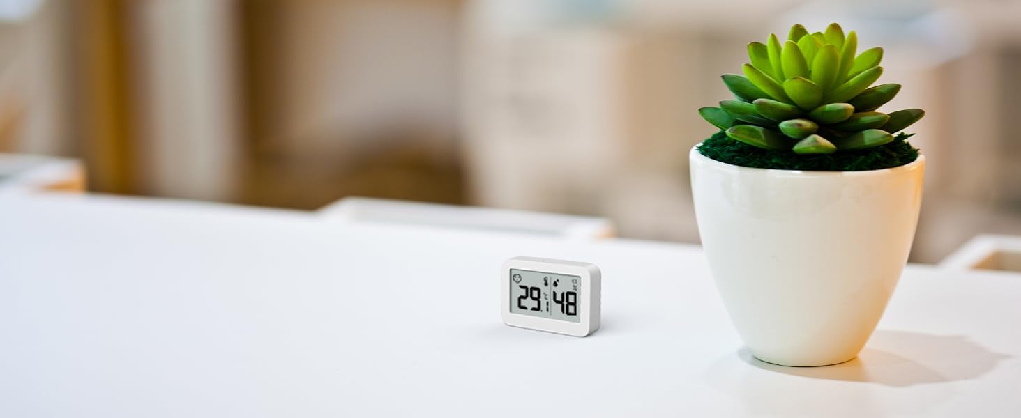 Incubator