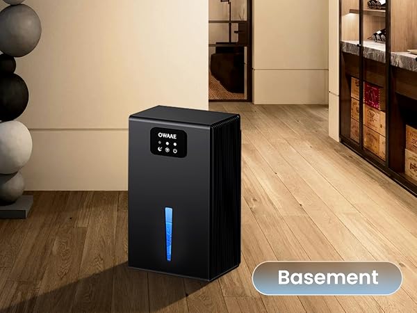 dehumidifier for basement