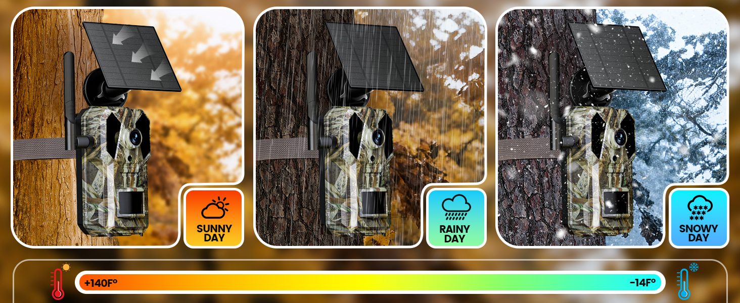 weatherproof cameras
