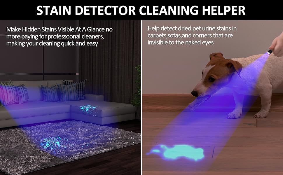 black light flash light