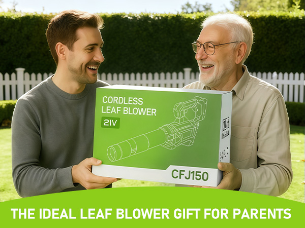 portable leaf blower cordless
