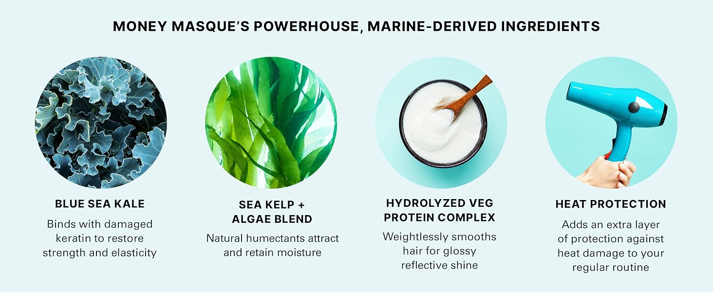 Money Masque Ingredients