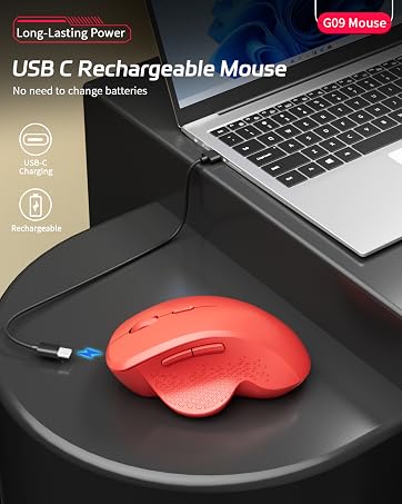 https://m.media-amazon.com/images/S/aplus-media-library-service-media/fc0ab6ea-7637-4174-9569-b2d7be993728.__CR1,0,1199,1500_PT0_SX362_V1___.jpg