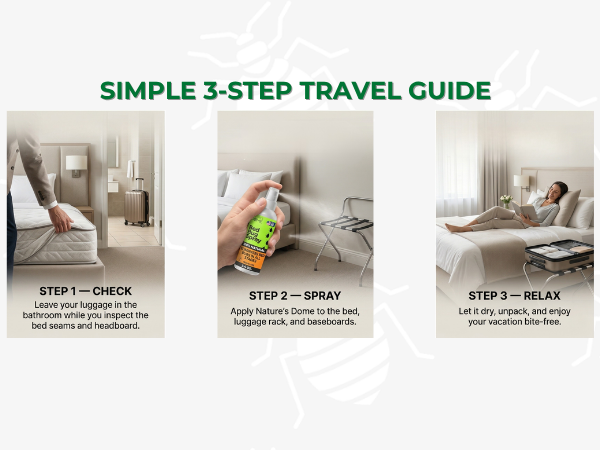 TSA approved non toxic bed bug killer travel size