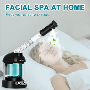 face steamer