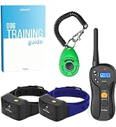 training collar