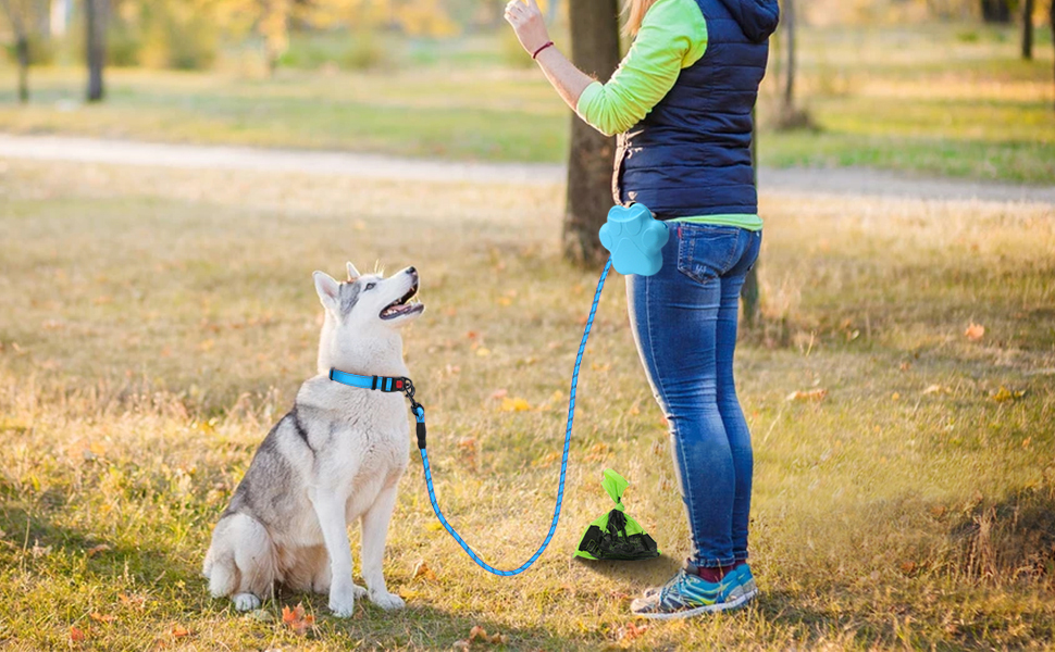 rope dog leash