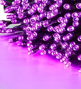 Halloween Purple String Lights