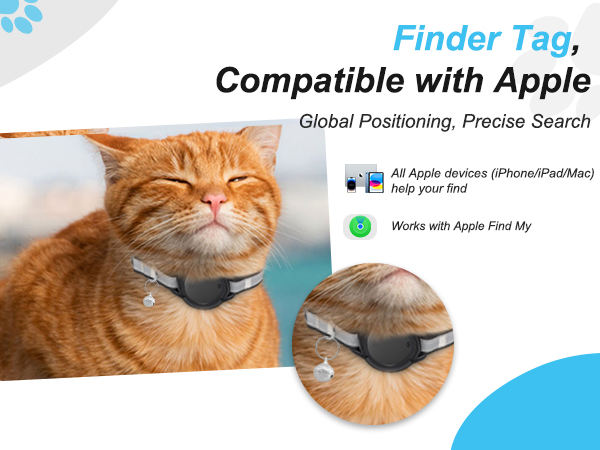 GPS COLLAR CAT