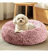 JOLLYVOGUE Dog & Cat Bed, Calming Anti-Anxiety Pet Bed for Small Dogs, Fluffy Donut Cushion for S...